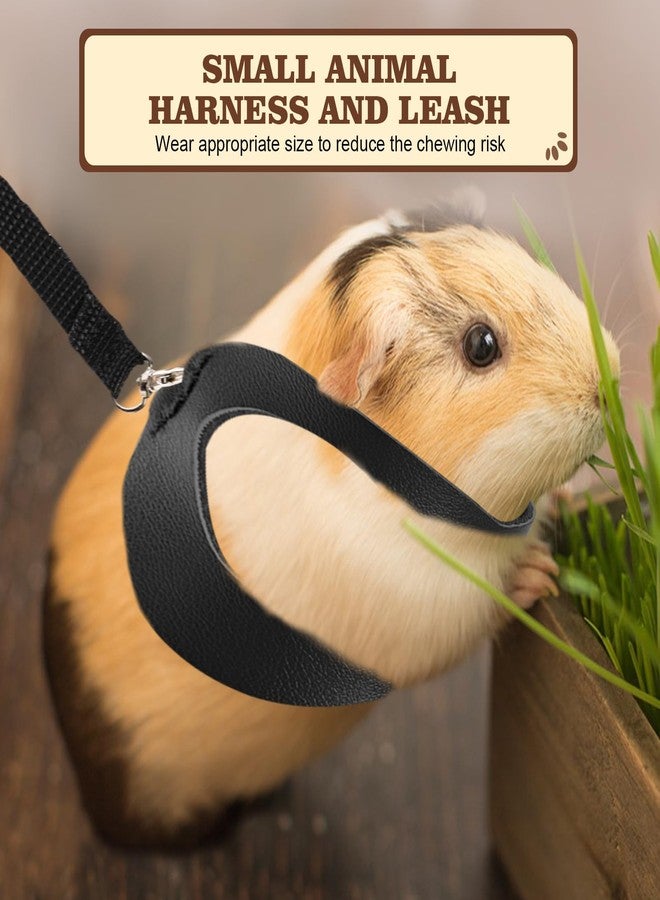Swirge 3Pcs Sugar Gilder Harness and Leash Set, Adjustable Squirrel Harness Small Animal Training Walking Vest for Rabbit, Guinea Pigs, Bearded Dragon (Black) - Image 5